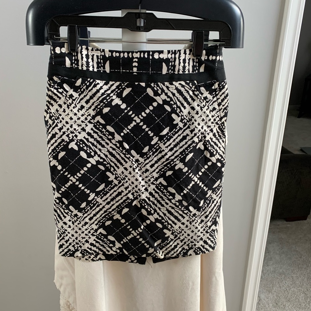 The Limited skirt